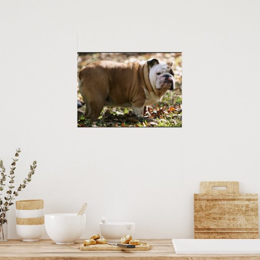 Boy Named Sue Poster (Küche)