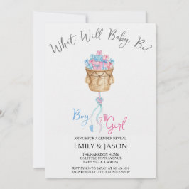 Boy Or Girl Blue Or Pink Gender Reveal Invitation Einladung