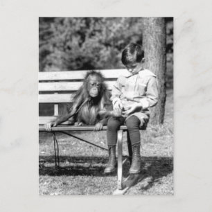 Boy & Orangutan Vintager Nationalzoo Washington Postkarte