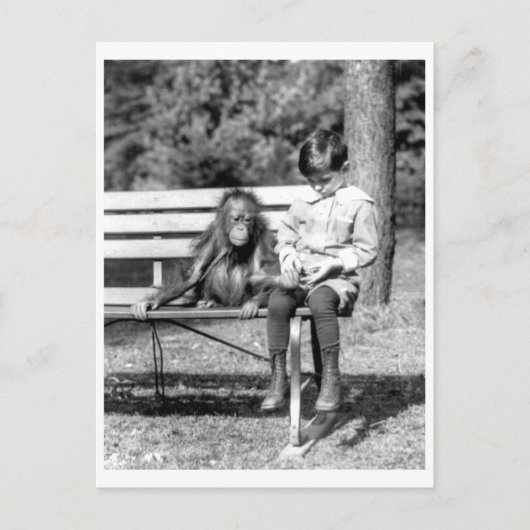 Boy & Orangutan Vintager Nationalzoo Washington Postkarte (Vorderseite)