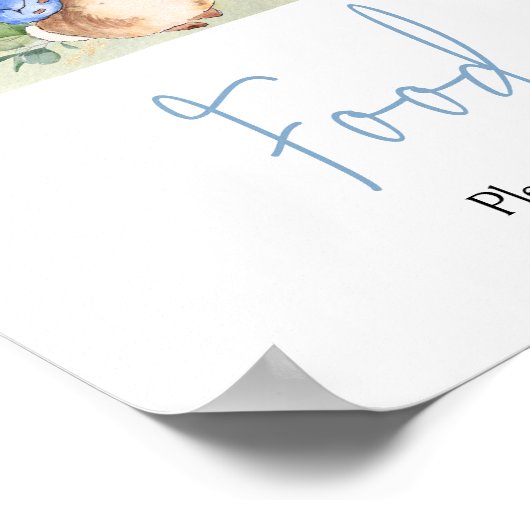 Boy Peter Rabbit Babydusche Poster (Ecke)