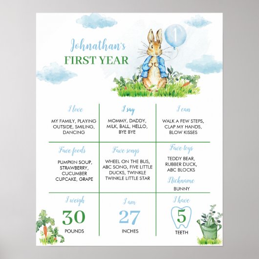 Boy Peter Rabbit Birthday Milestone Poster (Vorne)