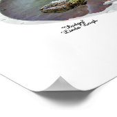 Boy Rain Fairy mit Frosch Poster (Ecke)