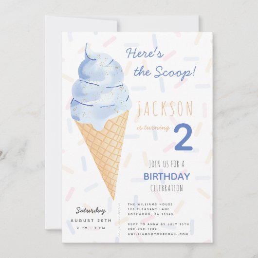 Boy Summer Birthday Einladung (Vorderseite)