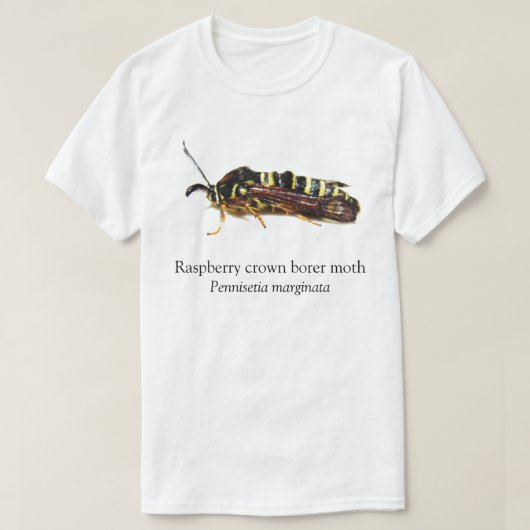 BOYB Raspberry Crown Borer T-Shirt (Design vorne)