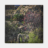 Boyce Thompson Arboretum Magnet (Vorne)