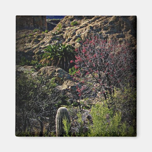 Boyce Thompson Arboretum Magnet (Vorne)