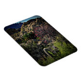 Boyce Thompson Arboretum Magnet (Rechte Seite)