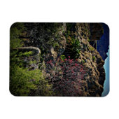 Boyce Thompson Arboretum Magnet (Horizontal)