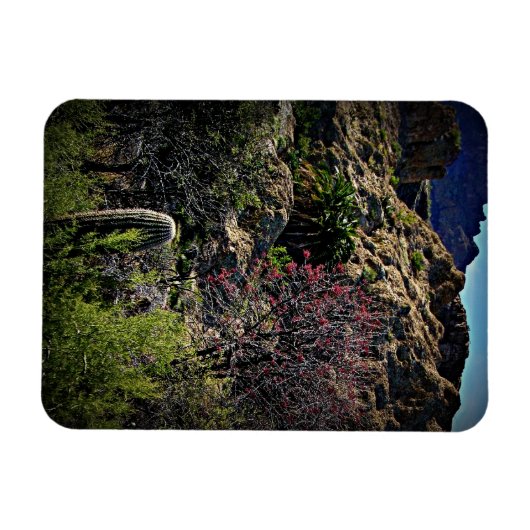 Boyce Thompson Arboretum Magnet (Horizontal)