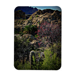 Boyce Thompson Arboretum Magnet