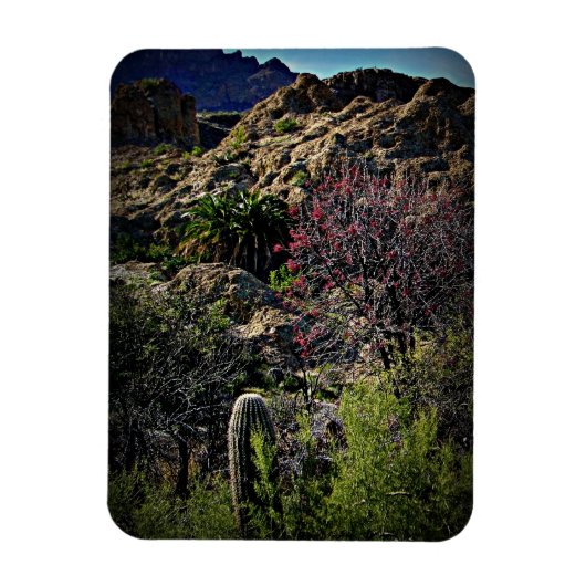 Boyce Thompson Arboretum Magnet (Vertikal)