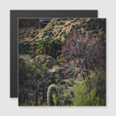 Boyce Thompson Arboretum Magnetkarte (Vorne/Hinten)