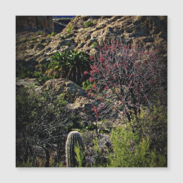 Boyce Thompson Arboretum Magnetkarte