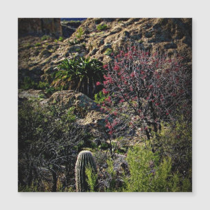 Boyce Thompson Arboretum Magnetkarte