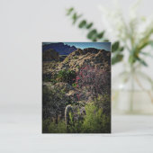 Boyce Thompson Arboretum Postkarte (Stehend Vorderseite)