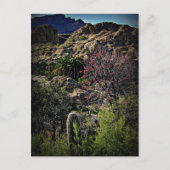 Boyce Thompson Arboretum Postkarte (Vorderseite)