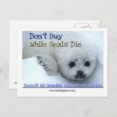 Boycott Canada Postkarte (Vorne/Hinten)