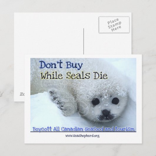 Boycott Canada Postkarte (Vorne/Hinten)