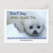 Boycott Canada Postkarte (Vorderseite)