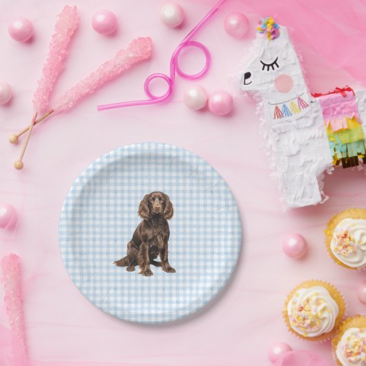Boykin Party Plate, Dog Party, Blue Gingham Pappteller (Party)