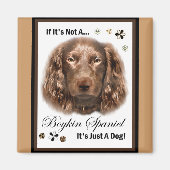 Boykin Spanel Kunstgeschenke Magnet (Vorne)