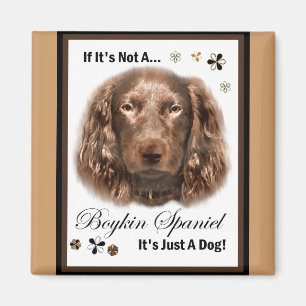Boykin Spanel Kunstgeschenke Magnet
