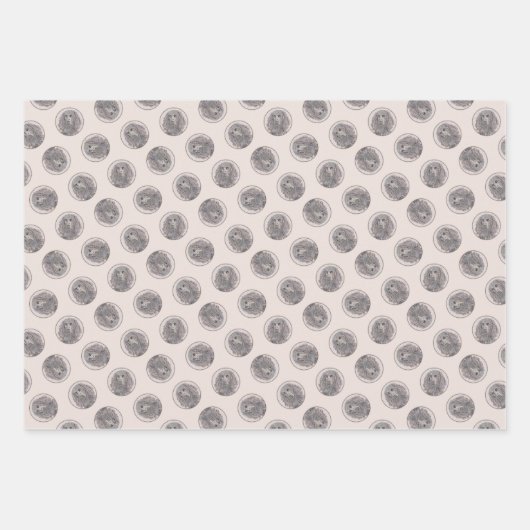 Boykin Spanel Malerei Little Brown LBD Dog Art Geschenkpapier Set (Vorderseite)