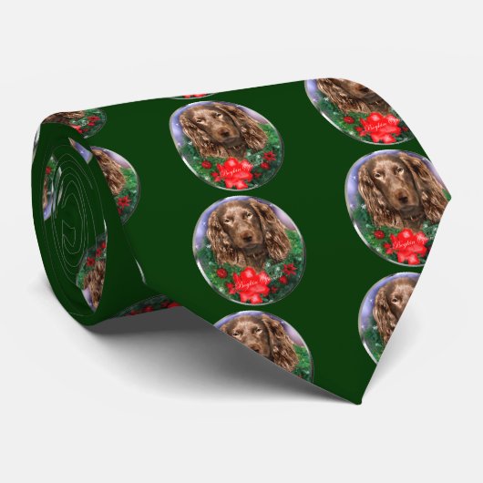 Boykin Spanel Weihnachtsgeschenke Krawatte (Gerollt)