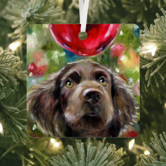 Boykin Spanel Welppy Ornament Weihnachten "Wish" Aus Metall