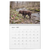 Boykin Spaniel 2027 Wandkalender (Mär 2027)