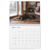 Boykin Spaniel 2027 Wandkalender (Feb 2027)