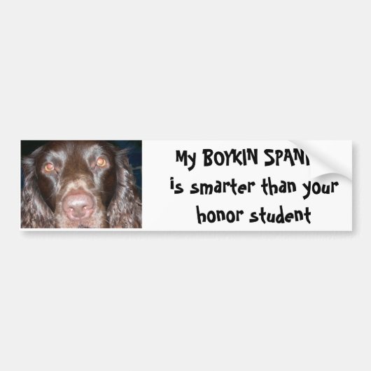 BOYKIN SPANIEL AUTOAUFKLEBER (Vorne)