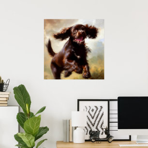 Boykin Spaniel Dog Poster