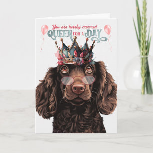 Boykin Spaniel Dog Queen for Day Funny Birthday Karte