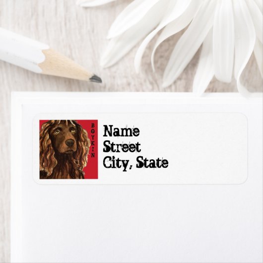 Boykin Spaniel Farbblock (Insitu)