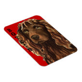 Boykin Spaniel Farbblock Magnet (Rechte Seite)