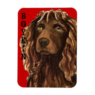 Boykin Spaniel Farbblock Magnet