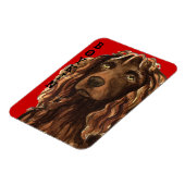 Boykin Spaniel Farbblock Magnet (Linke Seite)