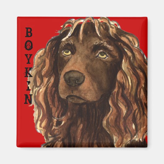 Boykin Spaniel Farbblock Magnet (Vorne)