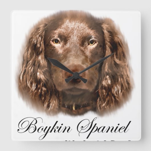 Boykin-Spaniel-Geschenke Quadratische Wanduhr (Vorderseite)