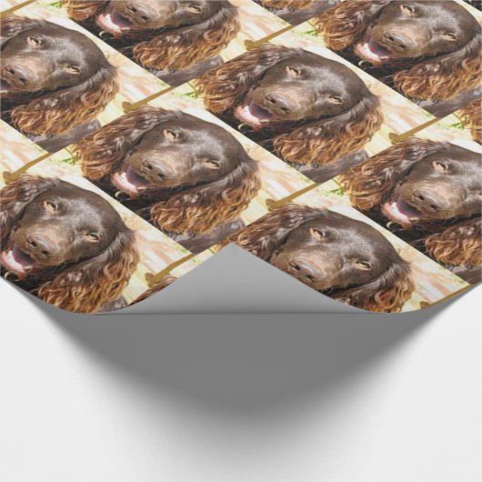 Boykin_spaniel Geschenkpapier (Ecke)