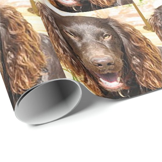 Boykin_spaniel Geschenkpapier (Rolleneckpunkt)