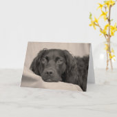 Boykin Spaniel-Gruß-Karte Karte (Gelbe Blume)