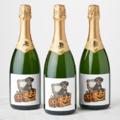 Boykin Spaniel Halloween Schaumweinetikett (Flaschen)