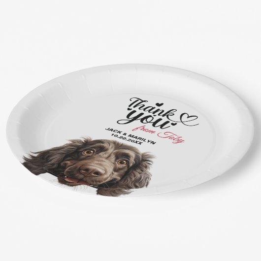 Boykin Spaniel Hund Hochzeitsempfang Pappteller (Schrägansicht)