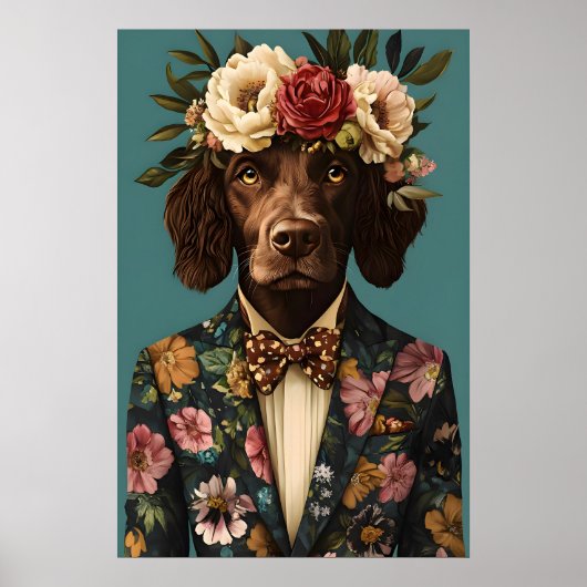 Boykin Spaniel im Anzug Poster, Boykin Spaniel Poster (Vorne)