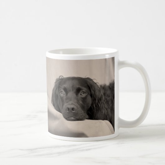 Boykin Spaniel-Kaffee-Tasse Kaffeetasse (Rechts)