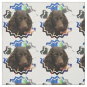 Boykin Spaniel Stoff (Muster)