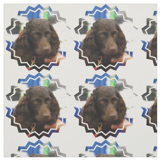 Boykin Spaniel Stoff (Muster)